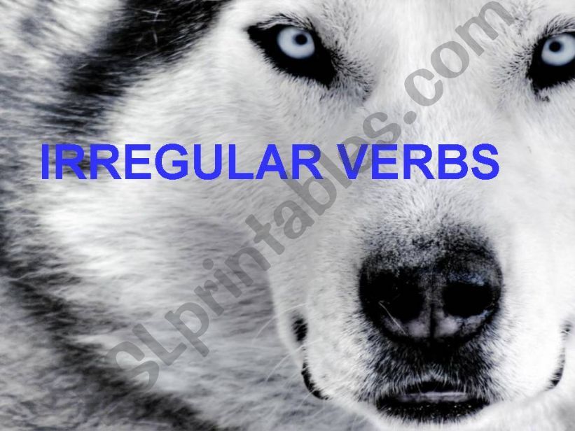 Irregular verbs powerpoint