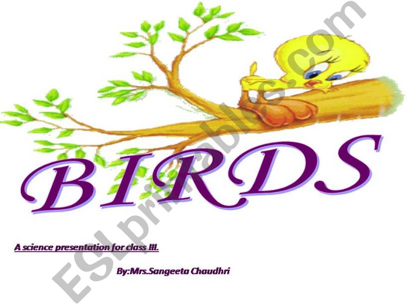 BIRDS powerpoint