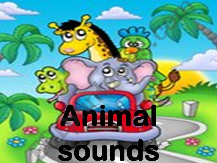 Animal sounds powerpoint