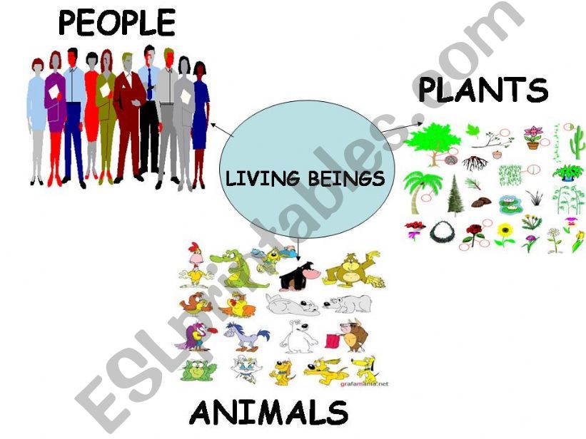 animals and their body parts powerpoint