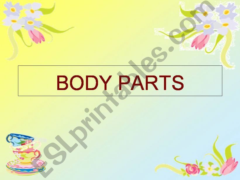 BODY PARTS powerpoint