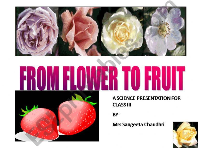 from flower to fruit powerpoint