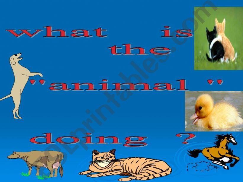 What is the animal doing? powerpoint