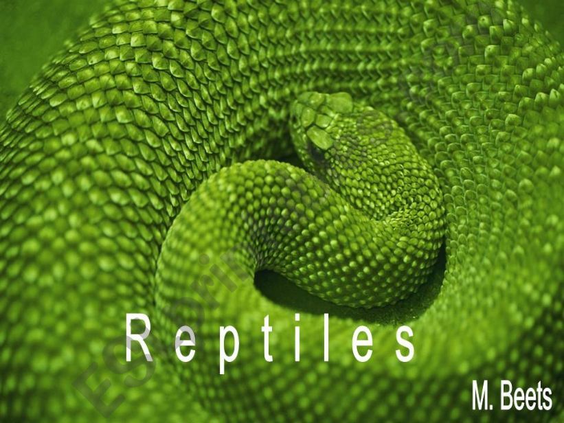 Reptiles powerpoint