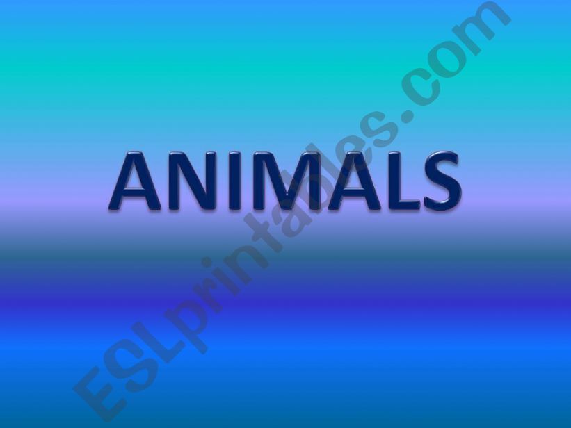 Animals powerpoint