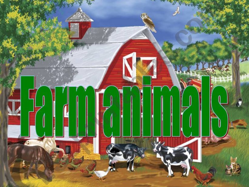 farm animals powerpoint