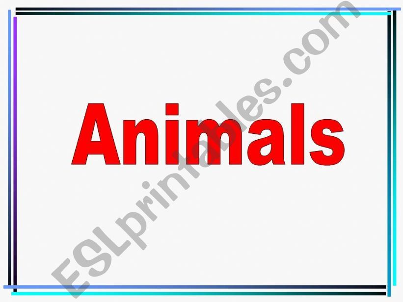 animals powerpoint