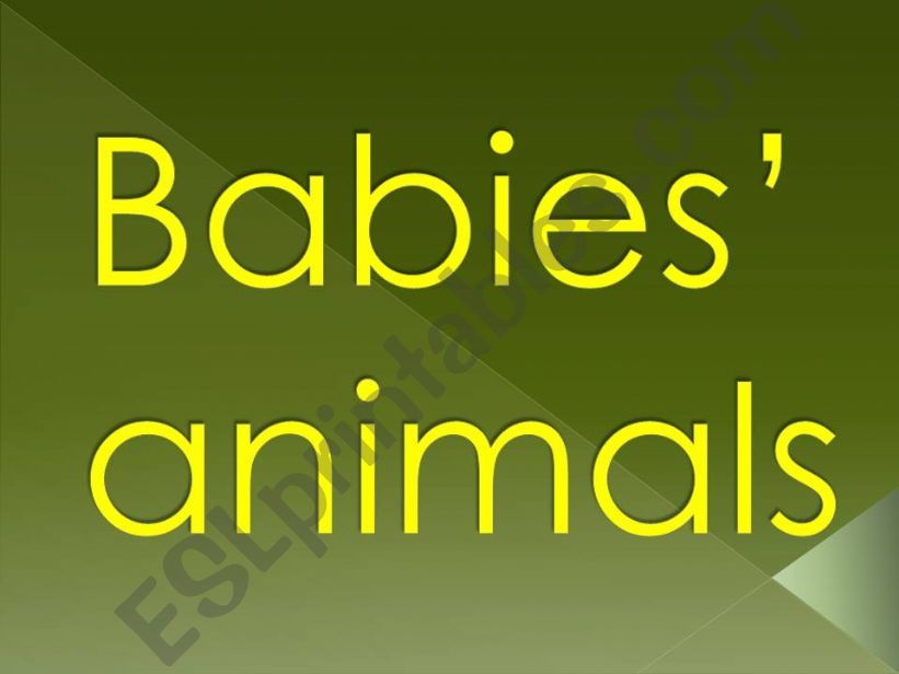 Babies animals powerpoint