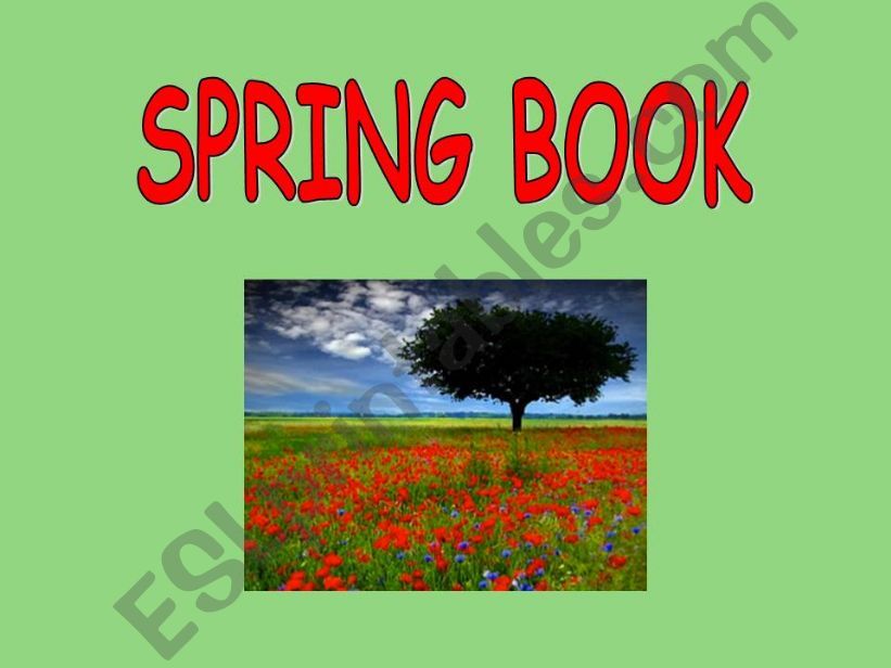 SPRING BOOK powerpoint