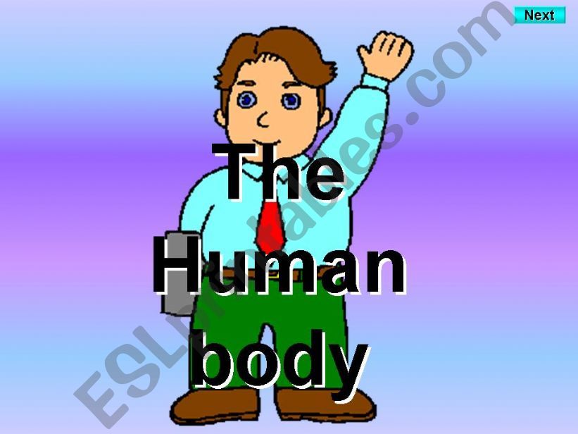 Body parts - Kims Game powerpoint