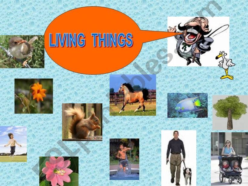 living things-non living things