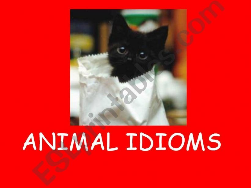 Animal Idioms (REUPLOAD) powerpoint