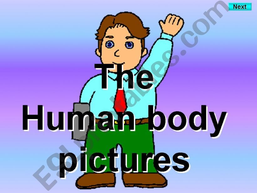 Body Parts - Kims Game pictures