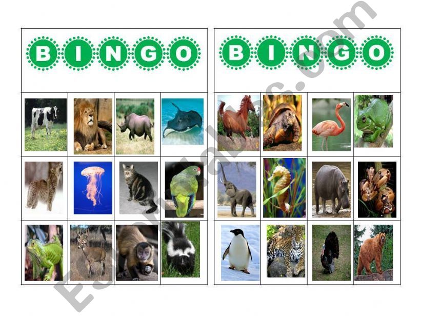 Bingo Animals powerpoint