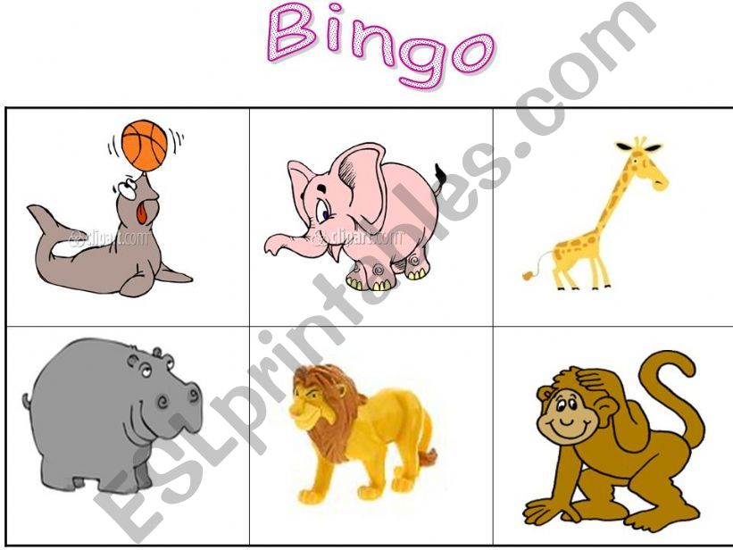 animals _ bingo powerpoint