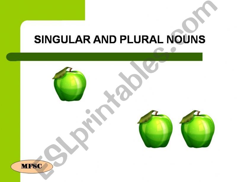 Singular and Plural nouns powerpoint