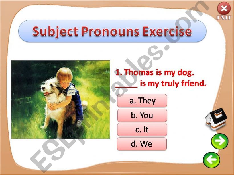 pronouns 9/9  exercise powerpoint