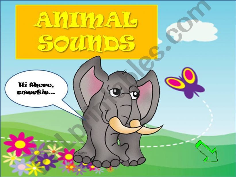 ANIMAL SOUNDS (Part I) powerpoint