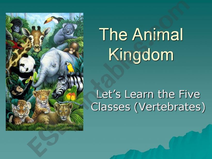 THE ANIMAL KINGDOM. powerpoint