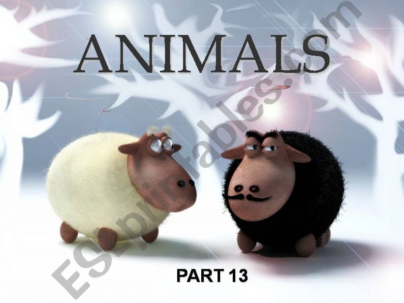 Animals - Part 13 powerpoint