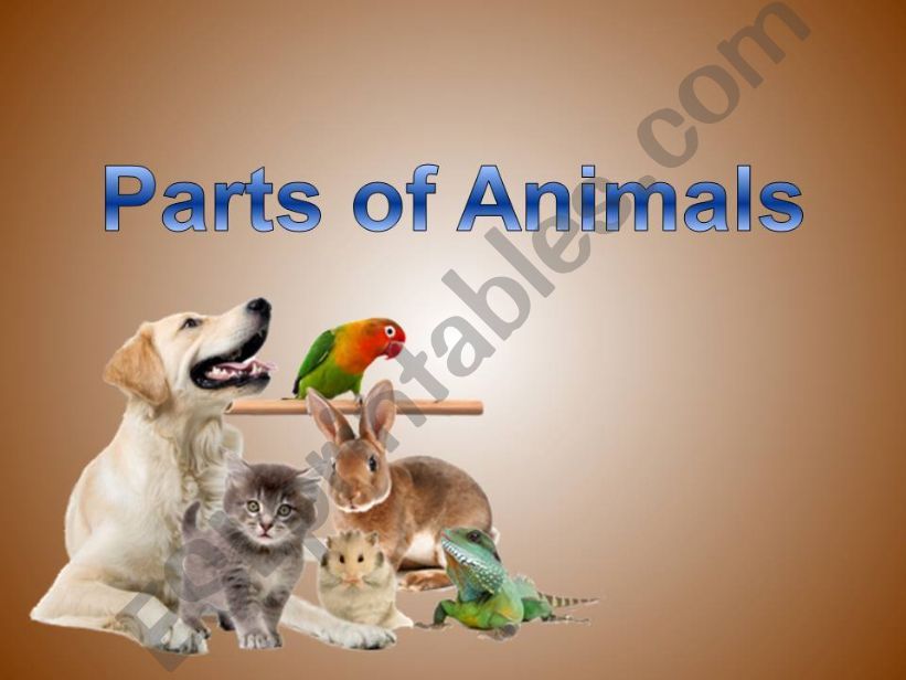 Parts of Animals powerpoint
