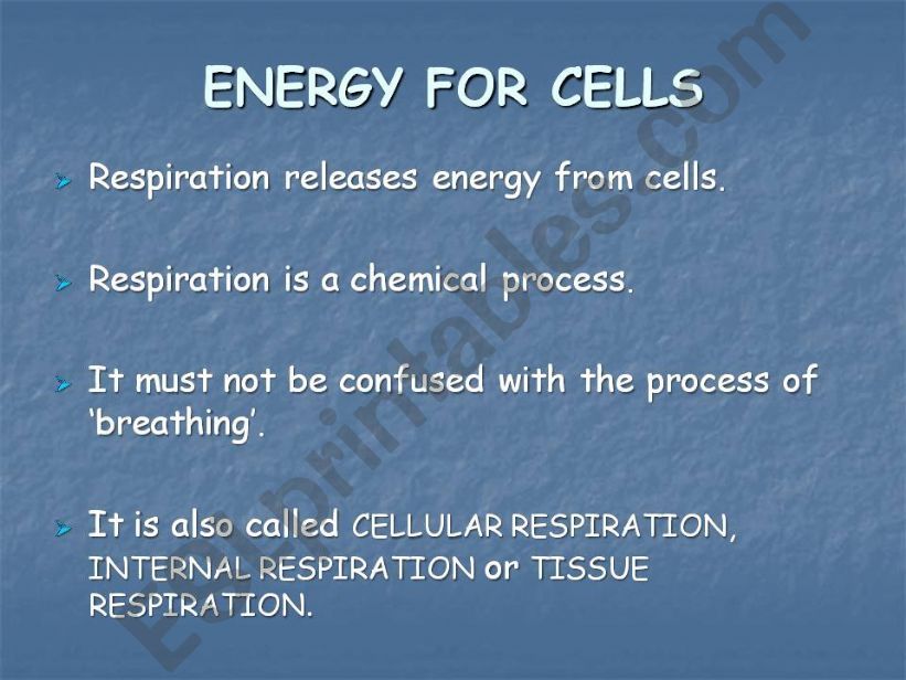 Cellular Respiration powerpoint