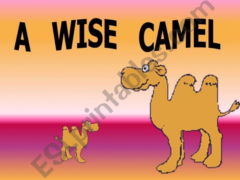 A WISE CAMEL powerpoint