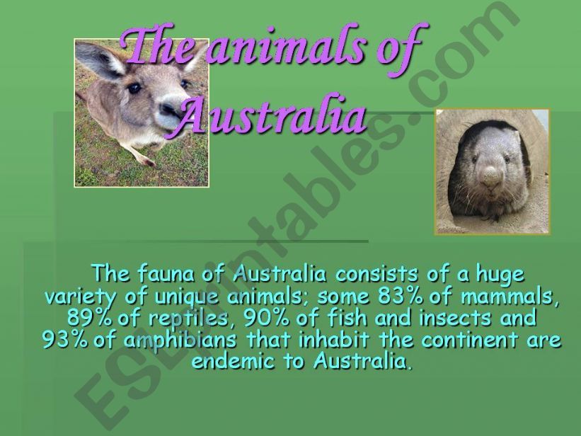 The animals of Australia powerpoint