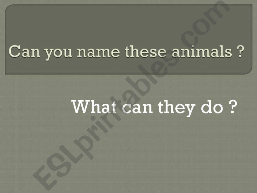 Animals and flowers questions powerpoint