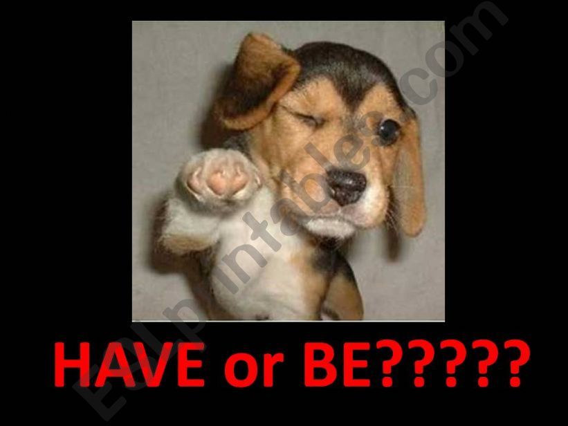 Have or Be??? powerpoint