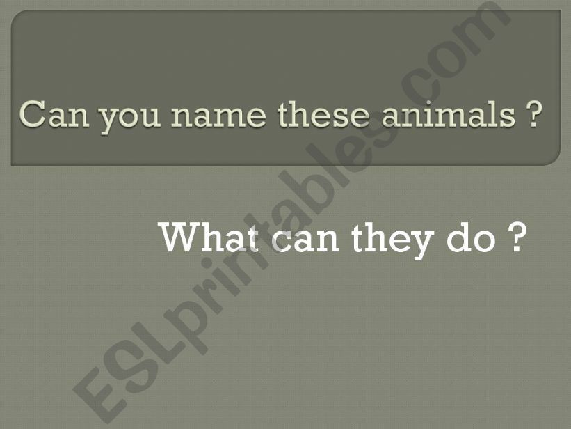 Animals and Things powerpoint