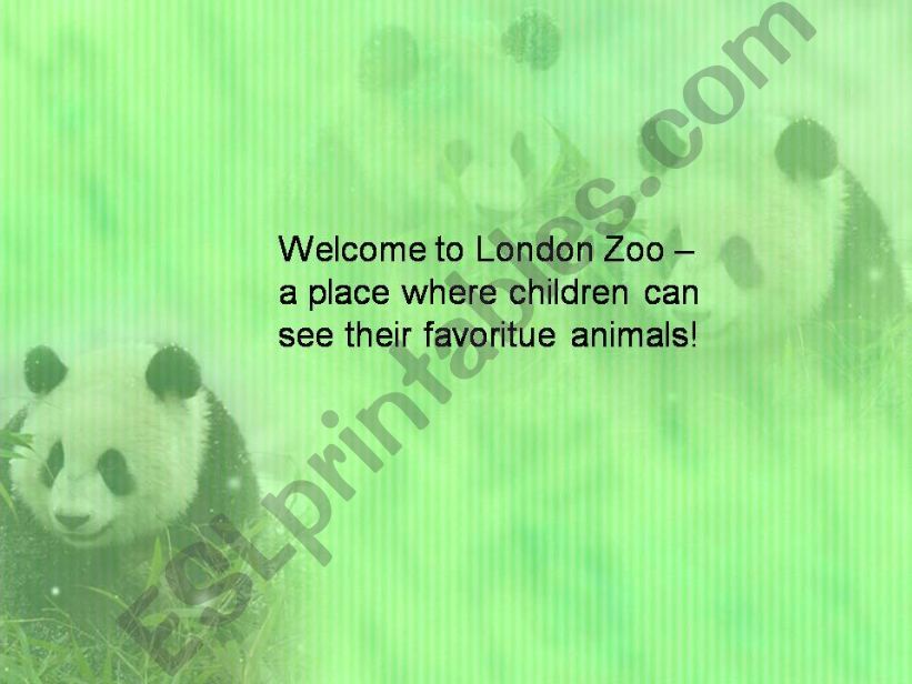 Welcome to London Zoo - part 1