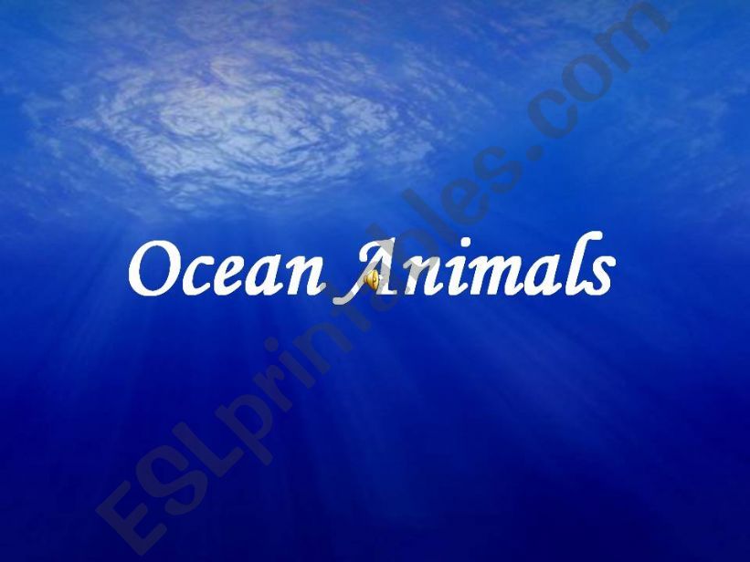 Ocean Animals powerpoint