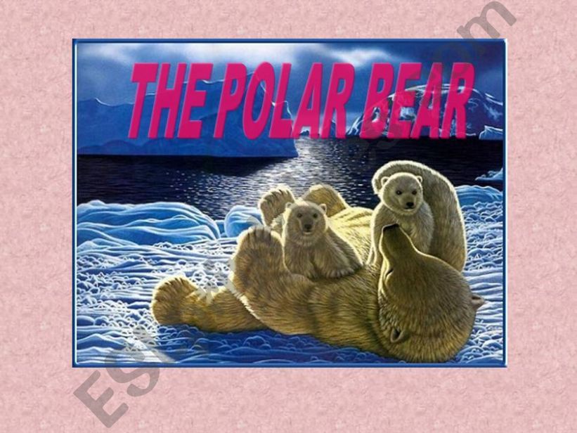 The polar bear powerpoint