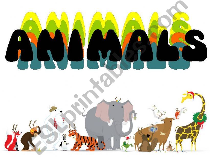 Vocabulary of animals powerpoint