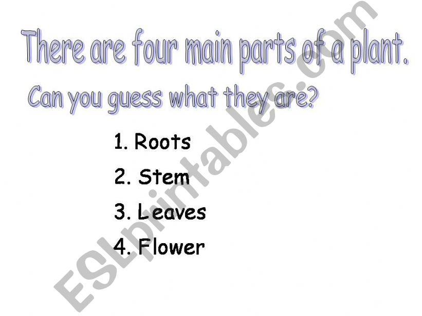 Parts of a plant powerpoint