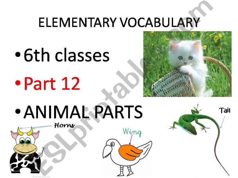 ELEMENTARY VOCABULARY Part 12 Animal parts