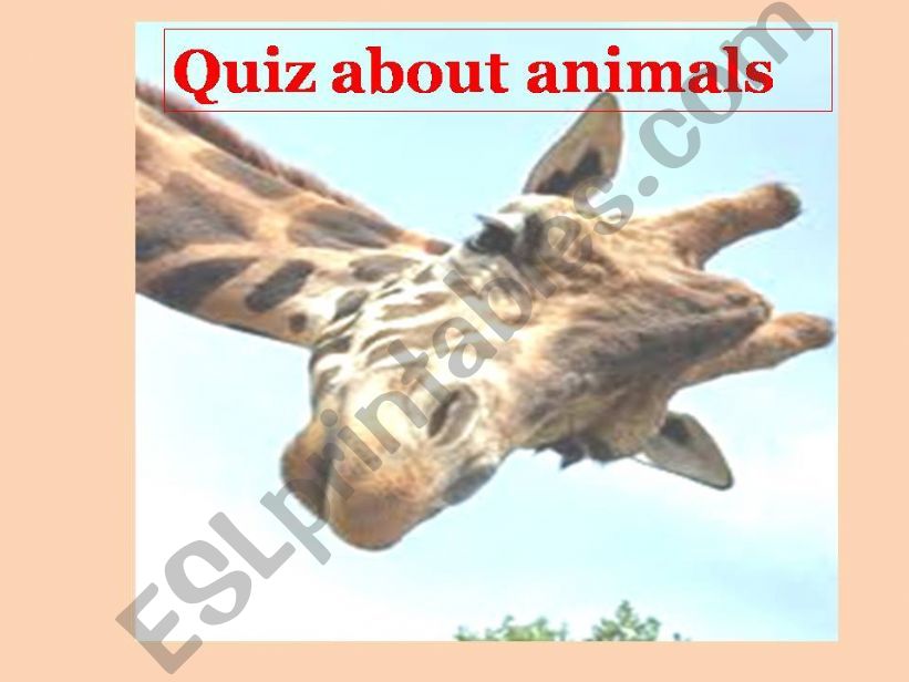Quiz about animals powerpoint