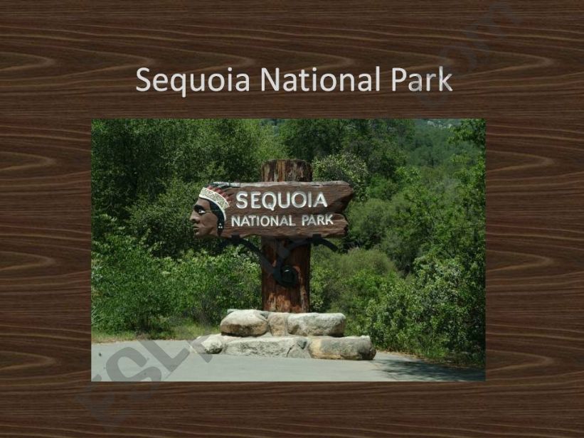 Sequoia National Park powerpoint