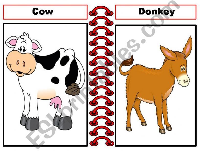 Animals Flash Cards(par.1) powerpoint