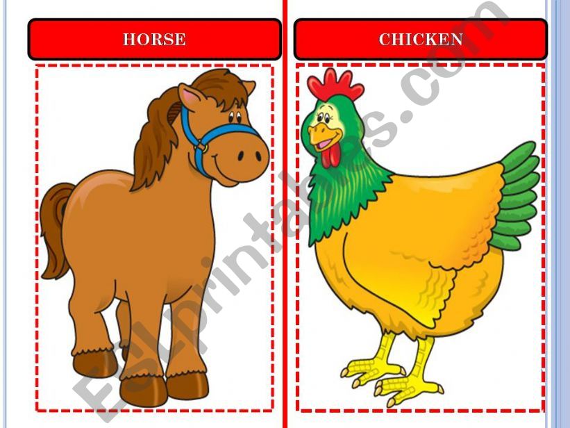 ANIMAL FLASHCARDS SET-2 powerpoint