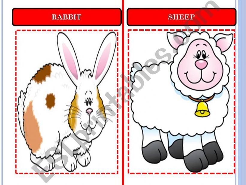 ANIMAL FLASHCARDS SET-3 powerpoint