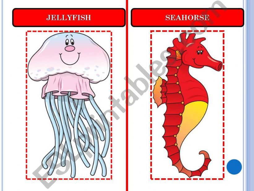 ANIMAL FLASHCARDS SET-4 powerpoint