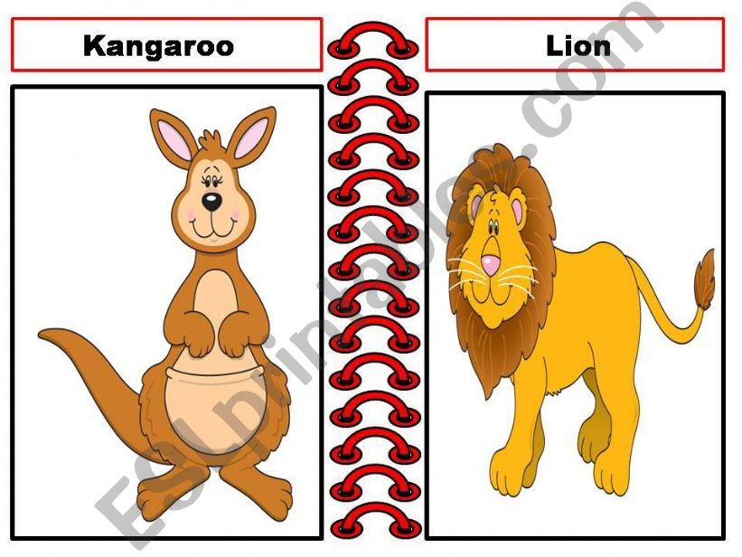 Animals flash cards (part.2) powerpoint