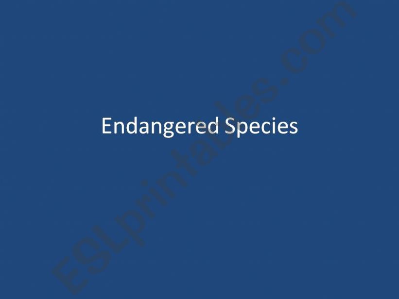 Endangered Species powerpoint