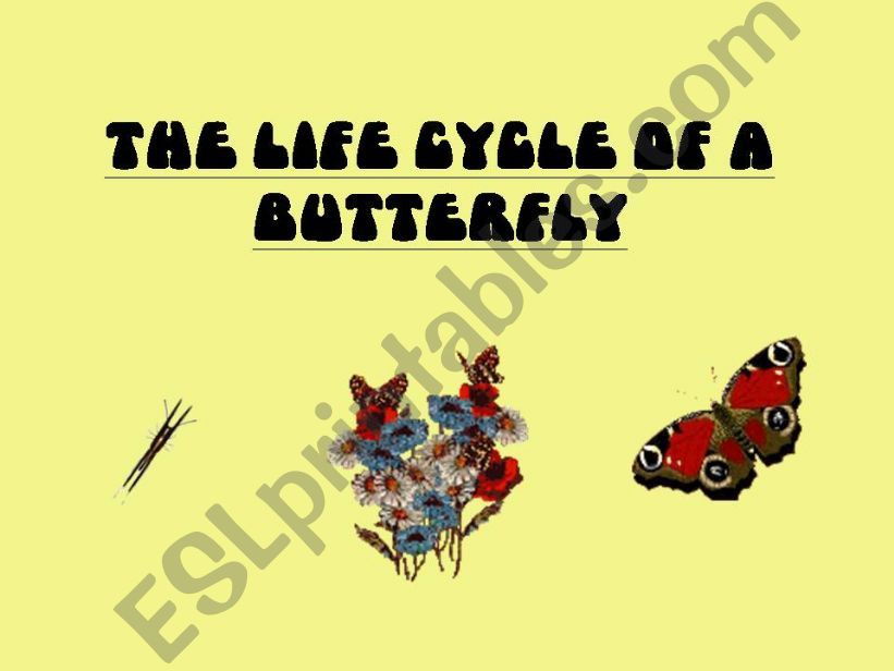 Butterfly life cycle powerpoint