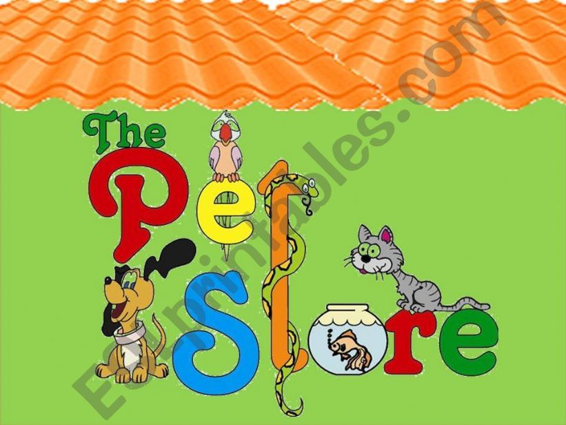 The pet Store (different exercises)