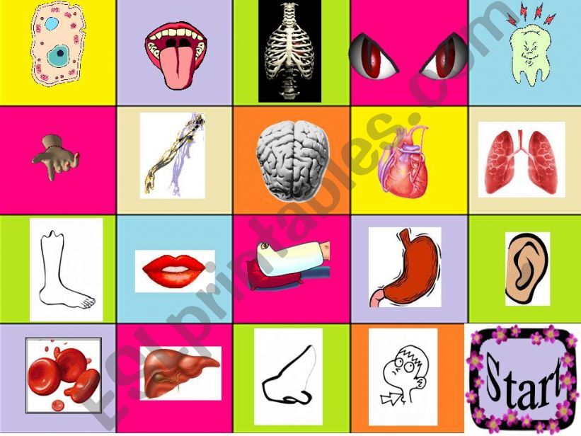 Body parts PPT Game powerpoint