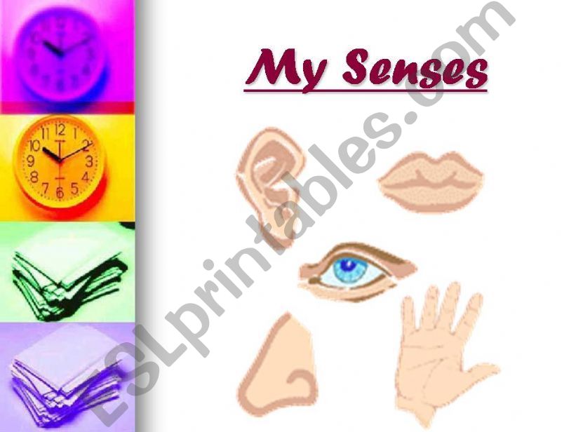 my senses powerpoint