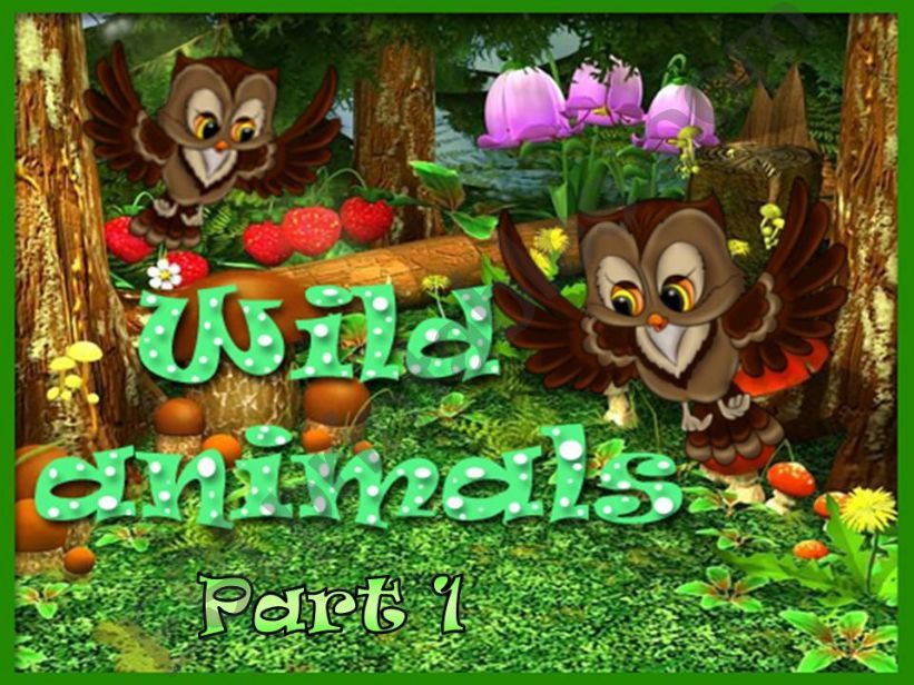 WILD ANIMALS - GAME  Part 1 (4)